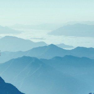 Meet your Posher, Cori